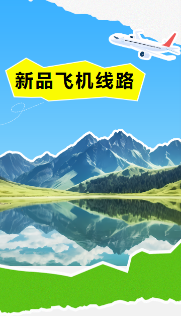 新品飞机线路